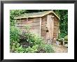 Wooden Shed With Border In Front Digitalis, Cotinus, Erysimum & Euphorbia, Hampton Cottage by Sunniva Harte Limited Edition Print