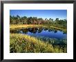Latvian Landscapes, Kemeri National Park, Latvia by Niall Benvie Limited Edition Pricing Art Print