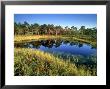 Latvian Landscapes, Kemeri National Park, Latvia by Niall Benvie Limited Edition Print