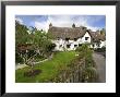 Quaint Devon Cottage, Devon, Uk by David Clapp Limited Edition Print