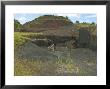 Mining Volcanic Ash Deposits, Galapagos, Ecuador by David M. Dennis Limited Edition Print