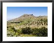 Santiago Del Teide, Tenerife, Location Of The Last Volcanic Eruption On Tenerife In 1909 by Martin Page Limited Edition Print