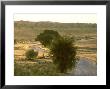 Kgalagadi Transfrontier Park, South Africa by Richard Packwood Limited Edition Print