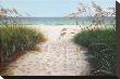 Beach Access by Pamela Jablonski Limited Edition Print