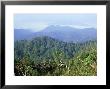 View From The Summit Of Phanoen Thung 1007M, Thailand by Alastair Shay Limited Edition Print