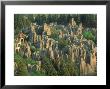 Landscape Of Stone Forest With Sunset Light, Stone Forest, China by Keren Su Limited Edition Pricing Art Print