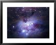 Ngc 1977 Is A Reflection Nebula Northeast Of The Orion Nebula by Stocktrek Images Limited Edition Print