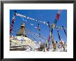 Boudhanath (Bodhnath) Stupa, Unesco World Heritage Site, Kathmandu, Nepal by Ethel Davies Limited Edition Print