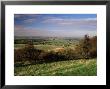 View From The Pegston Hills, Of Hertfordshire And Bedfordshire, Uk by David Hughes Limited Edition Print
