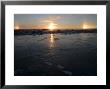 Sun Dogs, Polar Bear Tracks, Churchill, Hudson Bay, Manitoba, Canada by Thorsten Milse Limited Edition Print