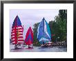 Sailboats With Spinakers In The Opening Day Parade Of Boating Season, Seattle, Washington, Usa by Charles Sleicher Limited Edition Print
