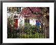 Markham Square, Chelsea, London, England, Uk by Mark Mawson Limited Edition Pricing Art Print