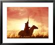 Profile Of A Stockman On A Horse Against The Sunset, Queensland, Australia, Pacific by Mark Mawson Limited Edition Print