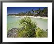 West Coast Beach, Boracay, Island Off The Coast Of Panay, Philippines by Robert Francis Limited Edition Print