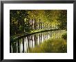The Bank Of The Hure, Canal Lateral A La Garonne, Gironde, Aquitaine, France, Europe by J P De Manne Limited Edition Print