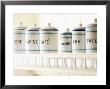 Spice Rack With Storage Containers by Stuart West Limited Edition Print