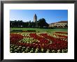 Gardens At Stanford University, Palo Alto, Usa by John Elk Iii Limited Edition Print