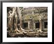 Temples Of Angkor, Ta Prohm, Siem Reap, Cambodia, Overtaken By Trees by Richard Nowitz Limited Edition Print