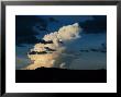 Large Cloud Forming In A Weather Cell Before A Rain by Randy Olson Limited Edition Pricing Art Print