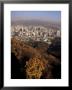 Seoul, South Korea, Korea by Charles Bowman Limited Edition Print