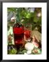 Fresh Goat's Cheese, Figs, Oil And Rose Wine From Provence by Jocelyn Demeurs Limited Edition Pricing Art Print