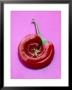 Chili Pepper, Round by Marc O. Finley Limited Edition Print