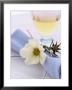 Place Setting With Flower by Giorgio Scarlini Limited Edition Print