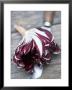 Radicchio Trevisano On A Knife by Marc O. Finley Limited Edition Pricing Art Print