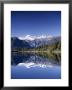 Lake Matheson And Mt.Cook, South Island, New Zealand by Steve Vidler Limited Edition Print