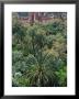 17Th Century Kasbah Amerhidl And The Lush Skoura Palmery, Morocco by John & Lisa Merrill Limited Edition Pricing Art Print