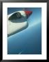 Propeller Airliner View Of Caribbean Sea And Cruiseship, Barbados by Walter Bibikow Limited Edition Pricing Art Print