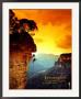 Innovation - Blue Mountains, Australia by Mark Cosslett Limited Edition Print