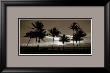 Sunrise Palms by Harold Silverman Limited Edition Print