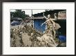 Statues Of Kali Line A Road In Ledo by Maria Stenzel Limited Edition Print