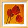 Red & Gold I - Mini by Amy Melious Limited Edition Print