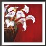 Callas On Red by Ann Parr Limited Edition Pricing Art Print