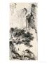 Watching The Waterfall by Hsuehjang Wu Limited Edition Print