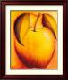 Apple by Angus Macaulay Limited Edition Print