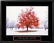 Endurance - Fall Tree by Craig Tuttle Limited Edition Print