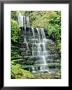Tiered Waterfall, Moss, Lichen, Ferns by Ron Evans Limited Edition Print