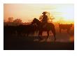 Drover Mustering Cattle,South Australia, Australia by John Hay Limited Edition Print