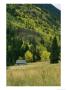 Fall-Colored Aspen Trees And An Old Cabin At The Foot Of A Mountain by Gordon Wiltsie Limited Edition Pricing Art Print