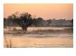 Early Morning Mist Rises Off The Zambezi River, Zambezi National Park, Matabeleland North, Zimbabwe by Ariadne Van Zandbergen Limited Edition Print