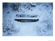 A Snow-Covered Bench In The Black Forest In Germany by Taylor S. Kennedy Limited Edition Print