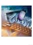 Mouse, Keyboard And Monitor On Beach by Rick Bostick Limited Edition Pricing Art Print