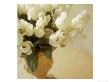 White Tulips In Vase by Fabrizio Cacciatore Limited Edition Pricing Art Print