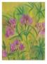 Oleanders by Hyacinth Manning-Carner Limited Edition Print
