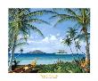 Tropic Travels by Scott Westmoreland Limited Edition Print
