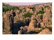 Pagoda And Limestone Karst Formations In The Stone Forest, Shi Lin, China by Keren Su Limited Edition Print