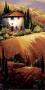 Golden Tuscany by Nancy O'toole Limited Edition Print